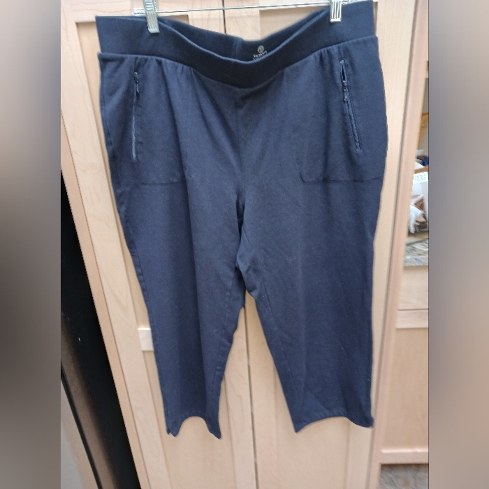 Talbots French h Terry cropped pants  size 2xl